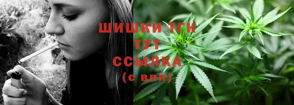 индика Кодинск