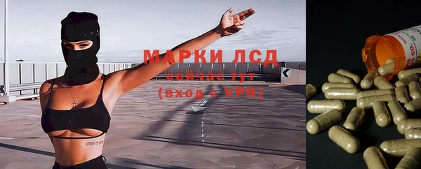 мяу мяу мука Кинешма