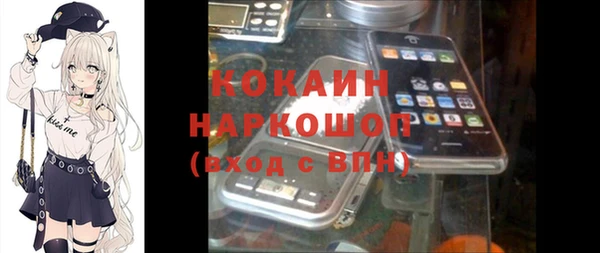 индика Кодинск
