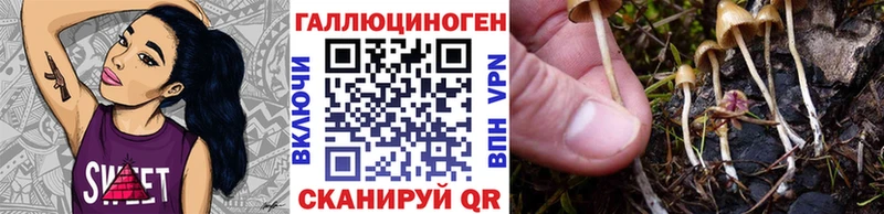 Галлюциногенные грибы мицелий  Краснозаводск 